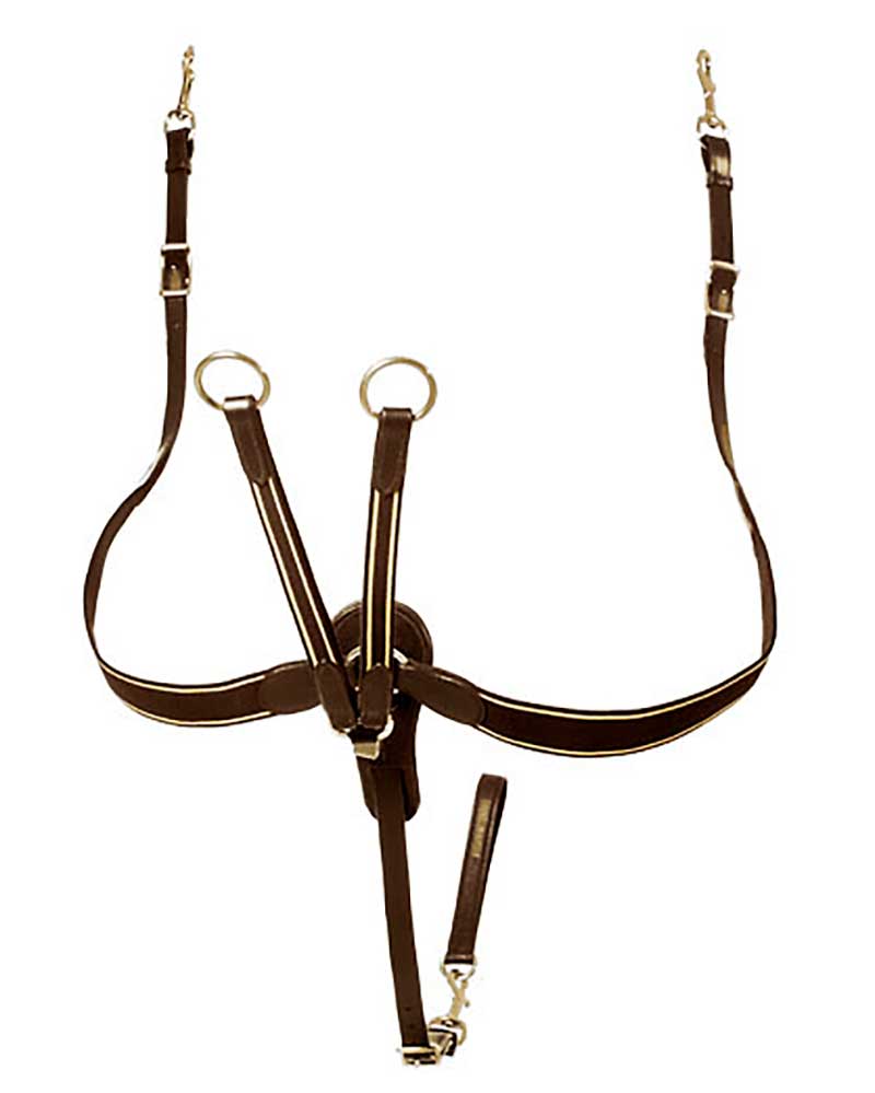 Dark brown English breastplate with elastic and martingales for horses – Lexhis<br>