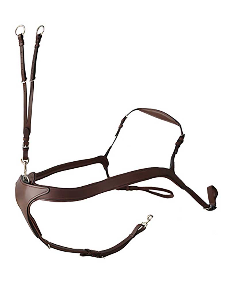 English Competition Breastplate with Dark Brown T-joint for Horse – Lexhis
