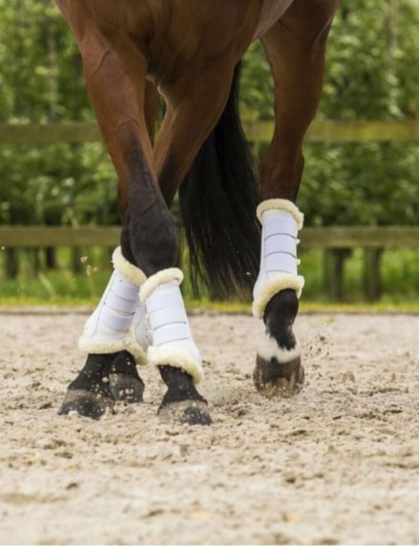 Pack de 2 protectores de doma blancos con borreguillo para caballo - Lami-Cell