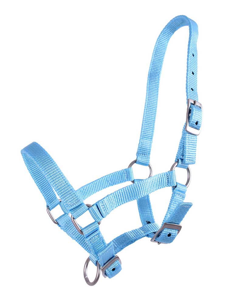 Cabezada de cuadra azul claro para potro - QHP