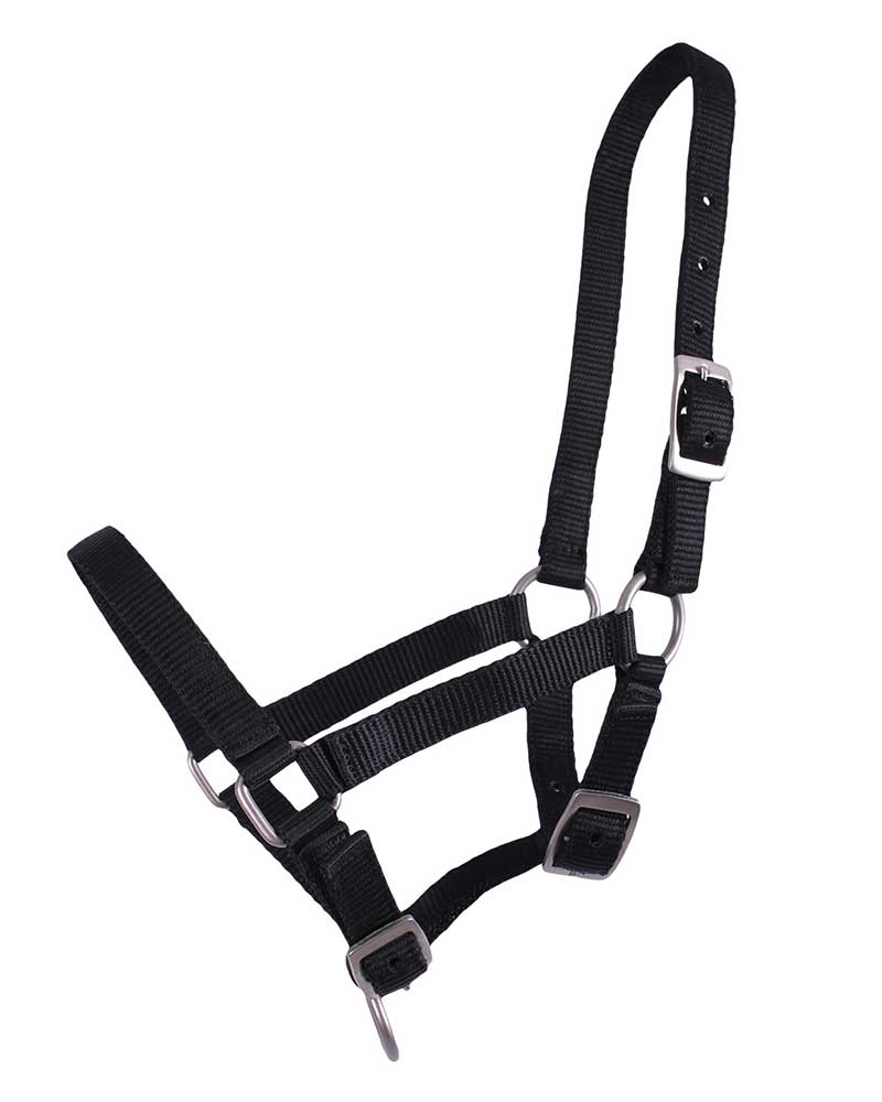 Cabezada de cuadra negro para potro - QHP