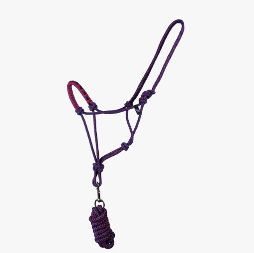 Purple rope bridle with horse harness - QHP