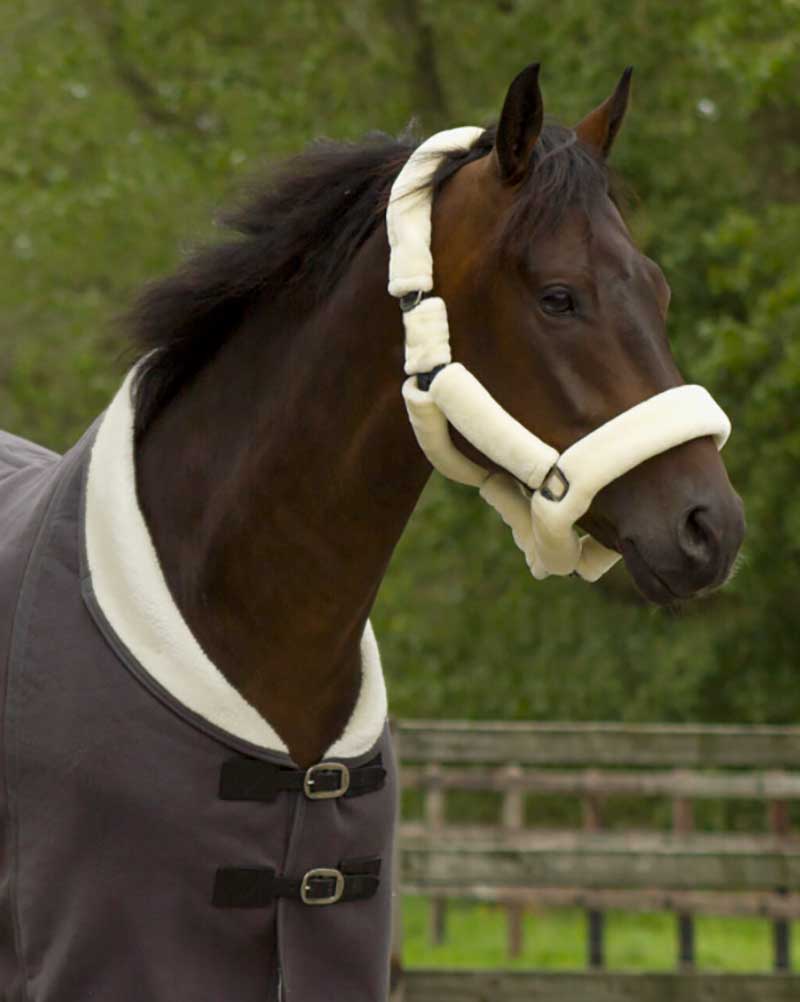 Gray Stable Halter Fully Lined with Beige Fleece for Pony - QHP
