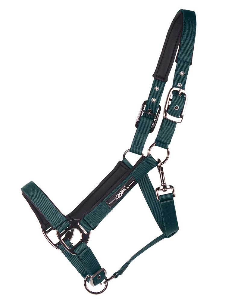 Licol d'écurie vert foncé pour cheval et poney - QHP