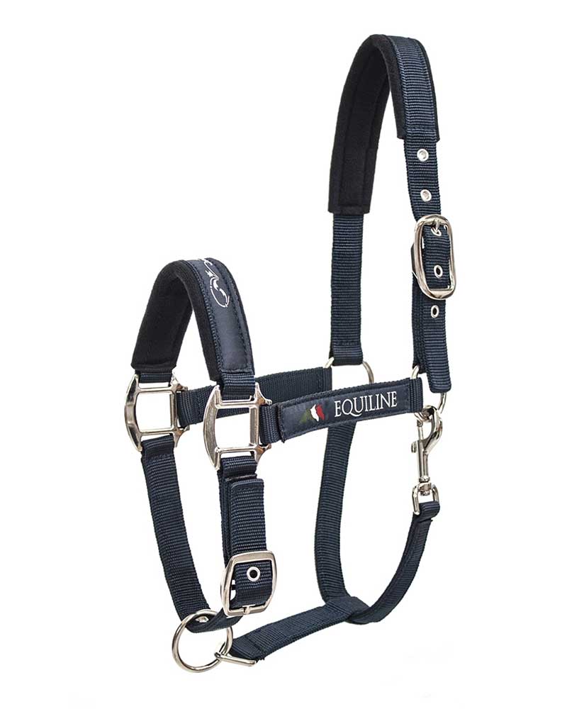 Navy blue bridle for horses - Timmy - Equiline