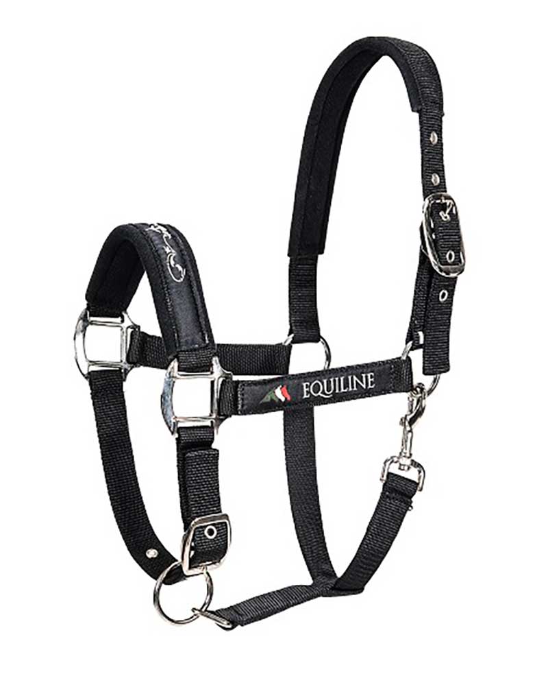 Black stable bridle for horses - Timmy - Equiline