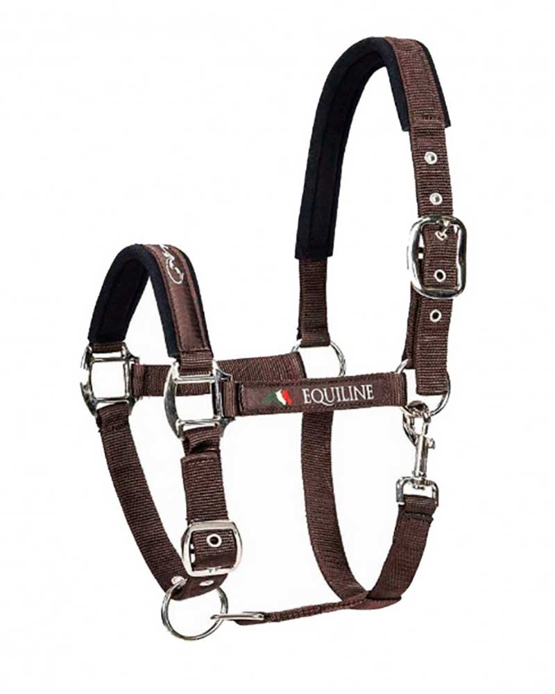 Licol d'écurie marron foncé pour cheval Timmy - Equiline