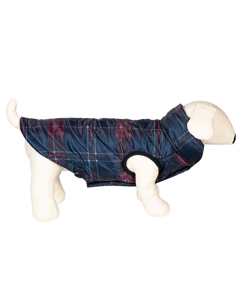 Dog coat with navy blue and burgundy tartan pattern – Potty – Equiline