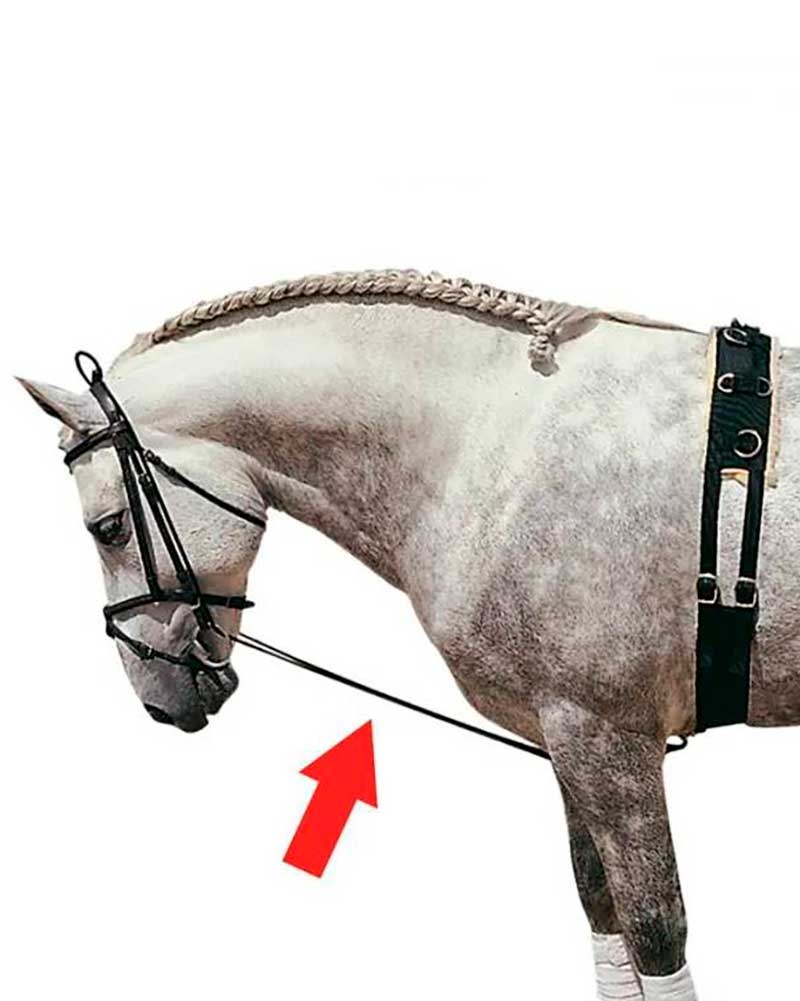 Chambón élastique noir en caoutchouc de 150cm 4010-K - Zaldi