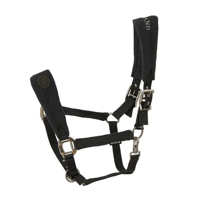 Green stable bridle with polar noseband and headpiece for horses - Kingsland