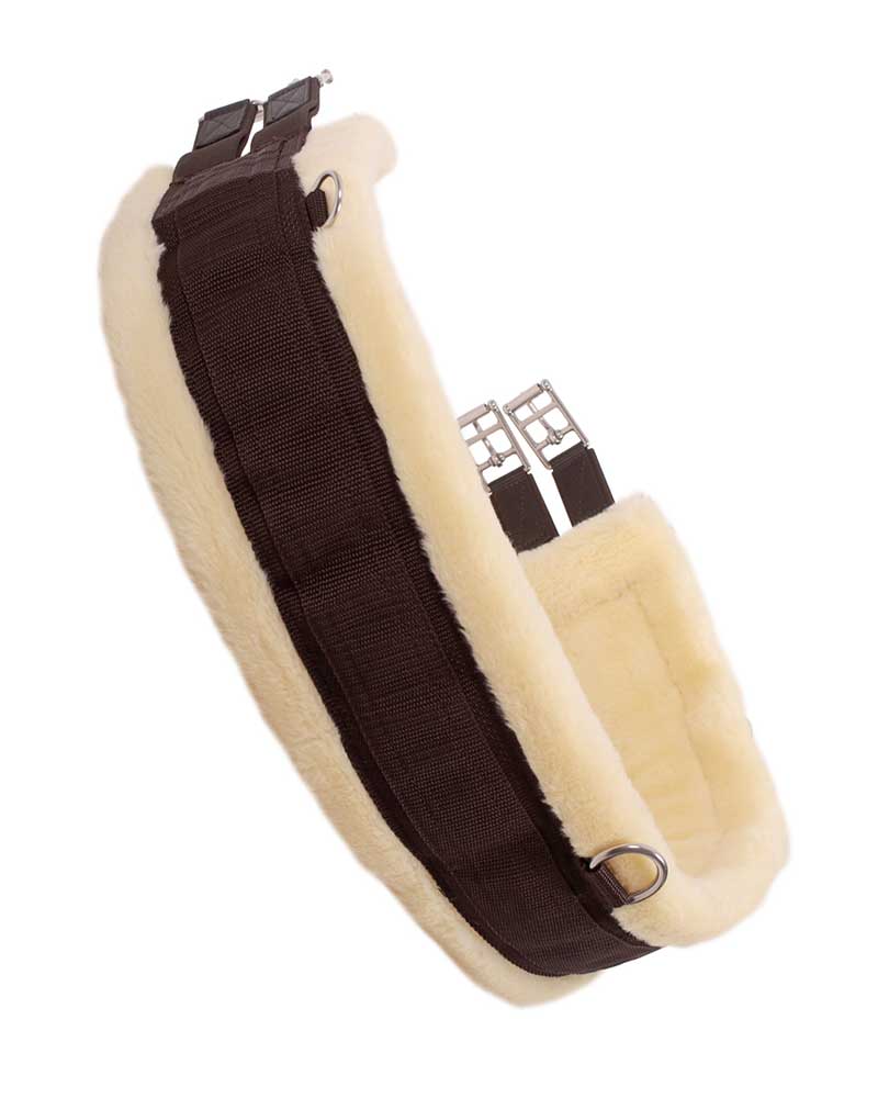 Sangle marron de salto ou polivalente avec mouton pour cheval et poney Ontario - QHP