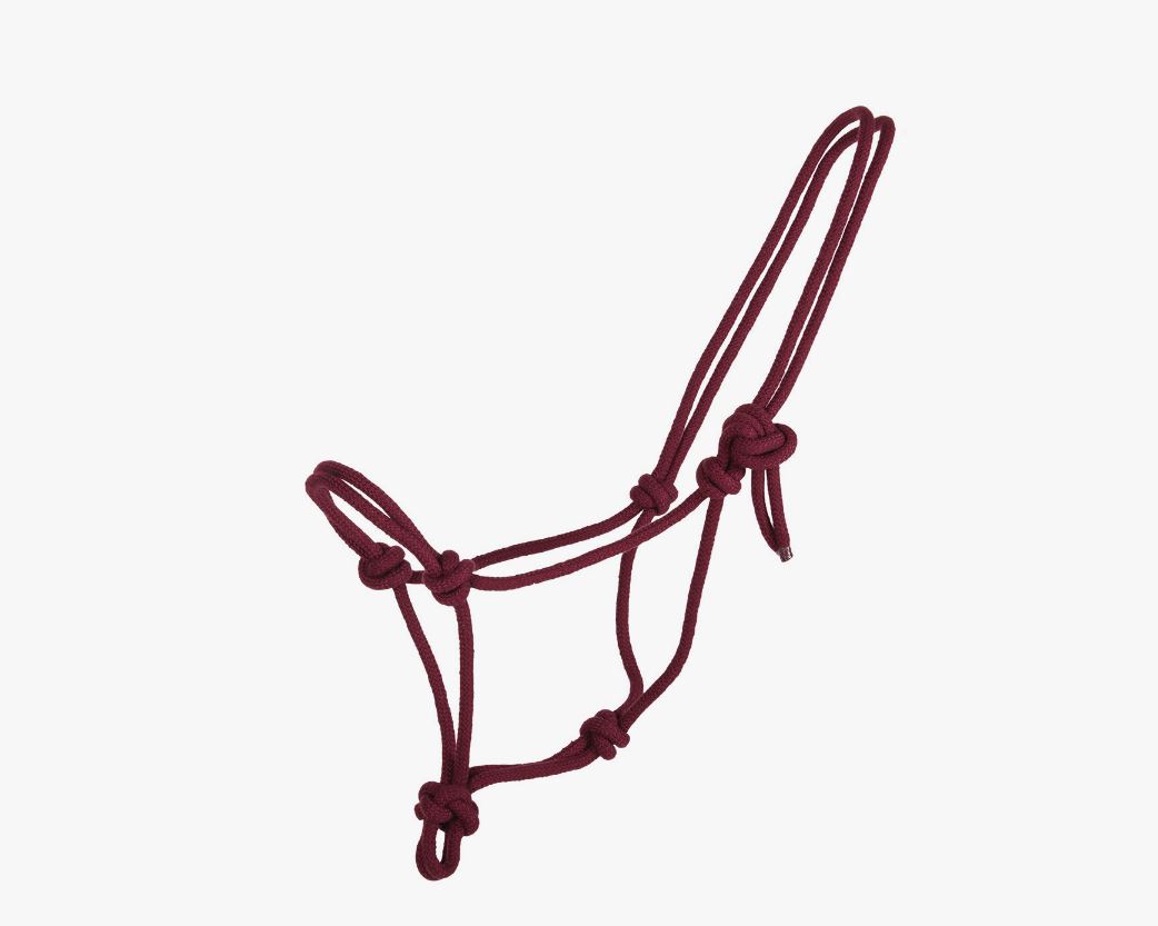 Burgundy rope bridle for horses - QHP
