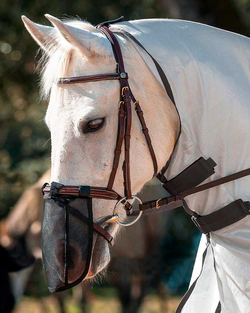 Fly Nose Protector for Pony – QHP