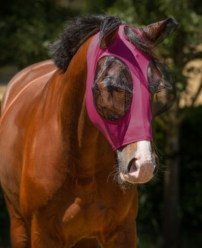 Masque anti-mouches en lycra respirant rose avec yeux et oreilles en résille et fermeture éclair - QHP