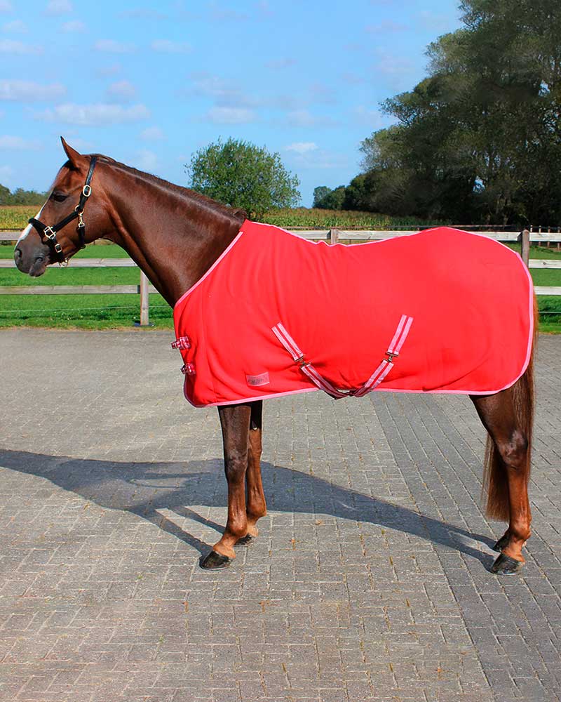 Couverture polaire séchante avec sangles croisées rouge pour poney - QHP