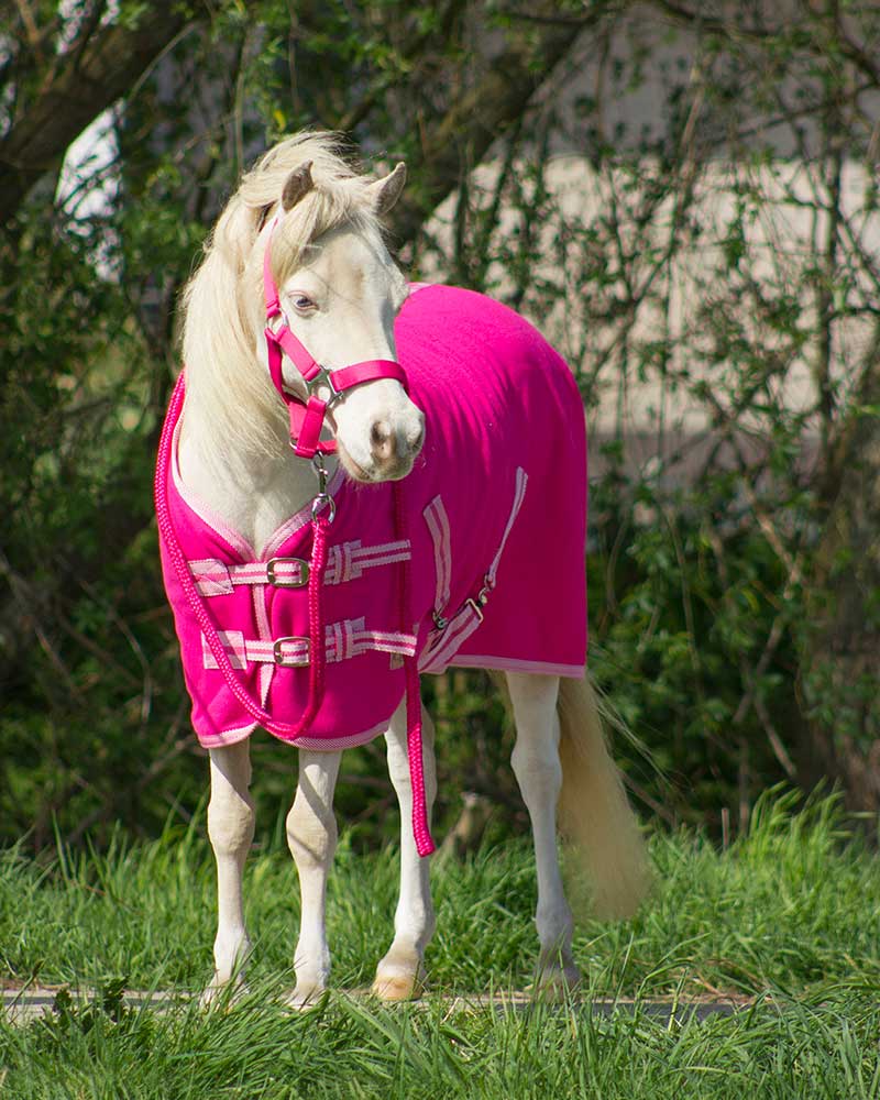 Fuchsia drying fleece rug with cross surcingles for pony - QHP