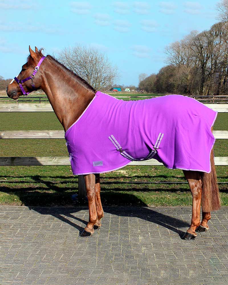 Manta polar de secado con cinchuelos morada para pony y caballo - QHP