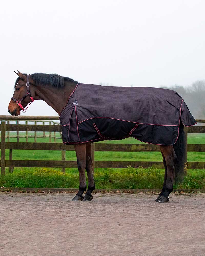 Black and Fuchsia Waterproof Outdoor Horse Rug (300g 600D) - QHP