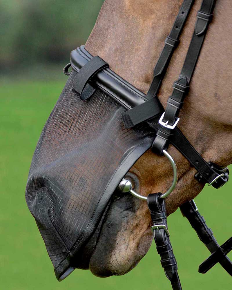 Protección antimoscas para la nariz para caballo - Waldhausen