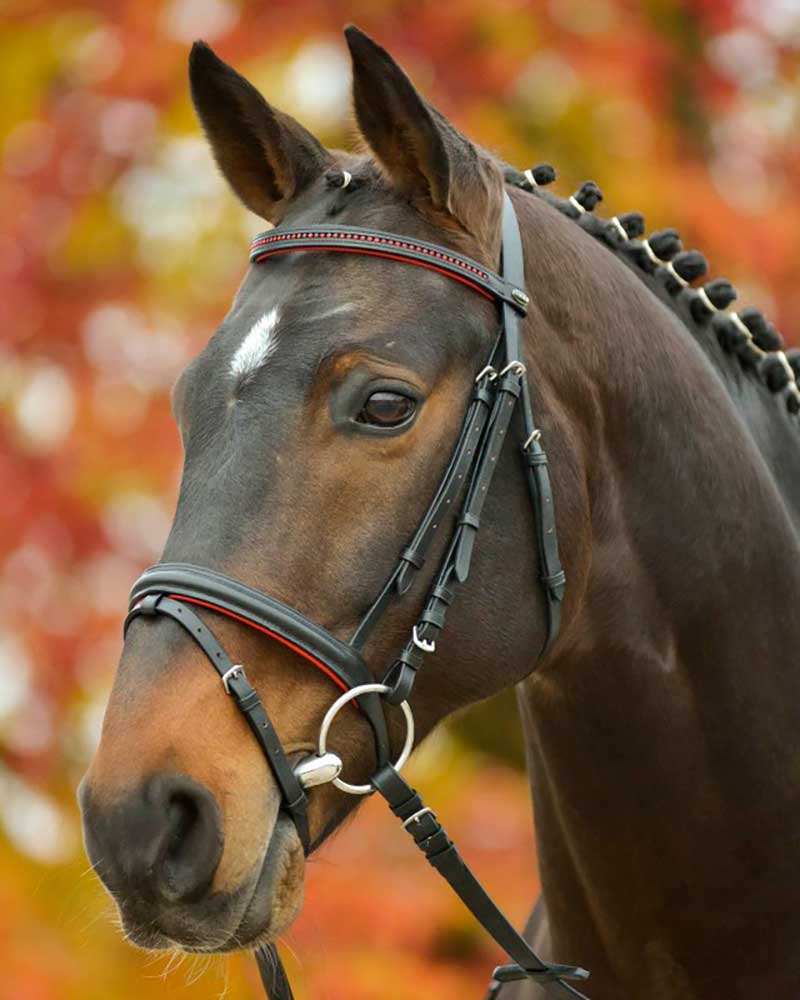 Black Leather Bridles with Rhinestones and Red Pads (Includes Reins) for Pony - Diamond - STAR