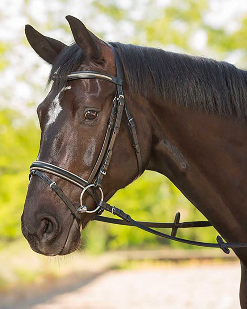 Bridas de cuero negro con frontalera y muserola con brillantina gris y riendas para caballo - Delicate - STAR
