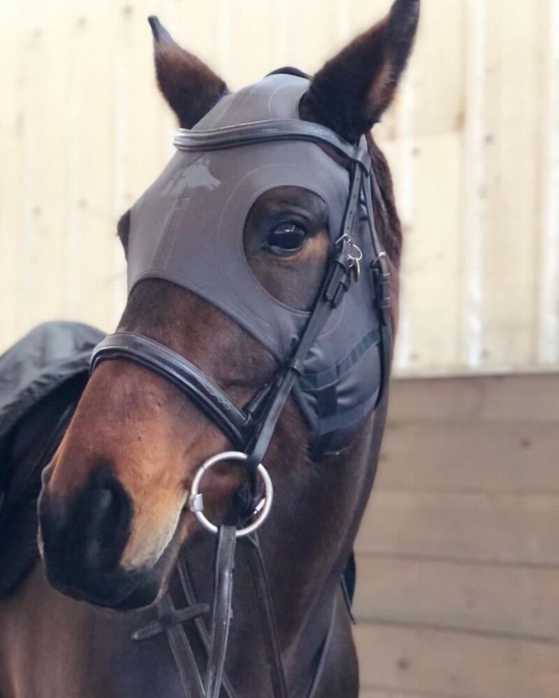 Mask (Without Ears, Velcro Closure) Grey with Liquid Titanium for Horse Focus – Fenwick LT