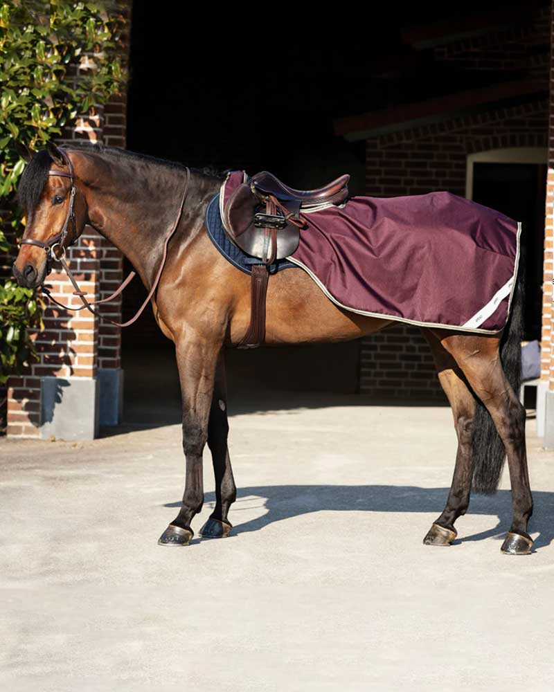 Exercise burgundy waterproof blanket (600D) with fleece interior lining - AMIGO