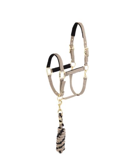 Licol d'écurie avec longe beige foncé et noir pour cheval et poney - ANKY