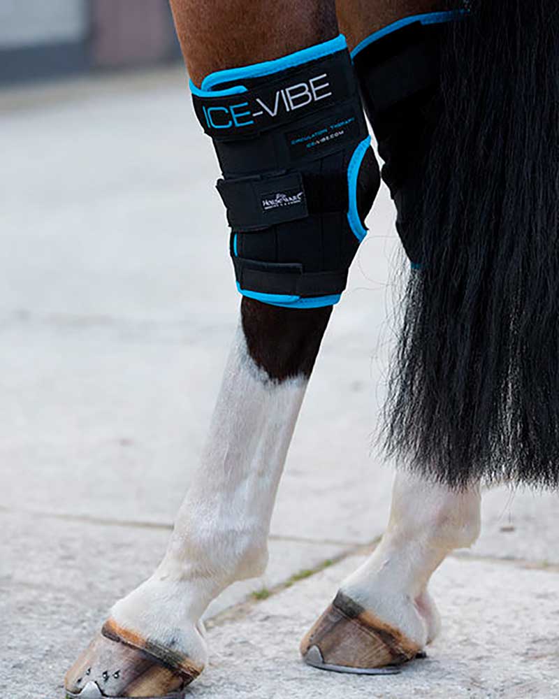 2-Pack Cold Therapy Hock Boots for Horses - Ice-Vibe - Horseware