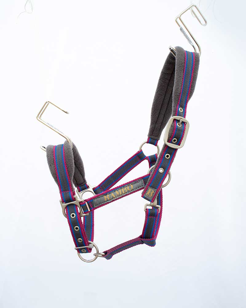 Licol d'écurie gris, fuchsia et bleu avec muserolle polaire pour cheval (cob) - Rambo