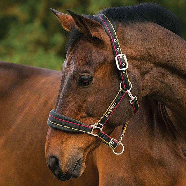 Adjustable black stable halter with red and yellow stripes and fleece noseband for horse and pony – Rambo