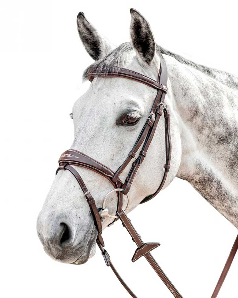 Cabezada de trabajo marrón oscuro con muserola ancha y pespuntes para caballo - Prestige