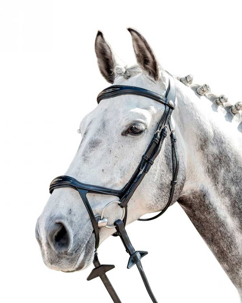 Black working bridle with wide noseband and stitching for horse - E-143 - Prestige