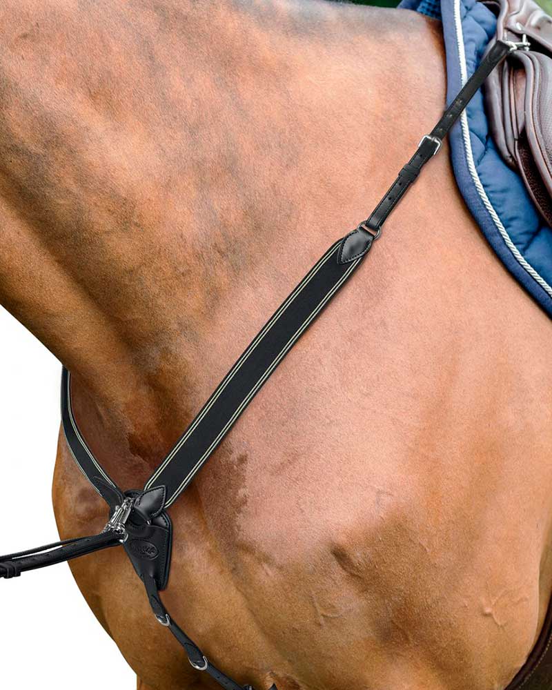 Black jumping breastplate with martingale for pony - D41 EVO - Prestige