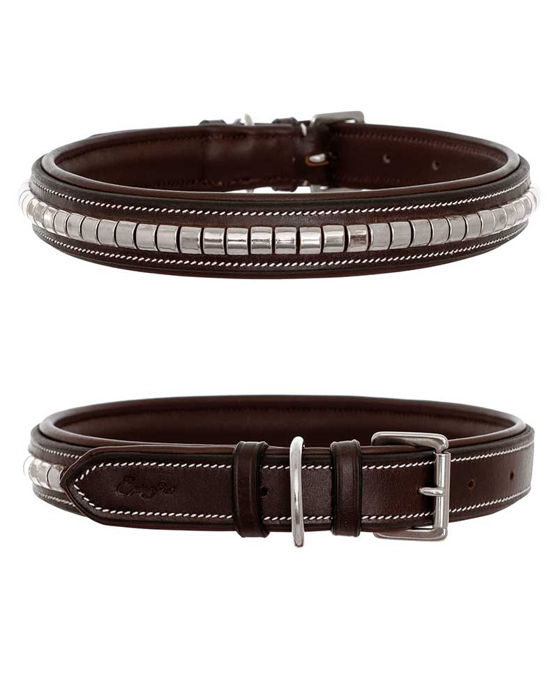 Dark Brown Leather Dog Collar with Silver Studs – Horsein