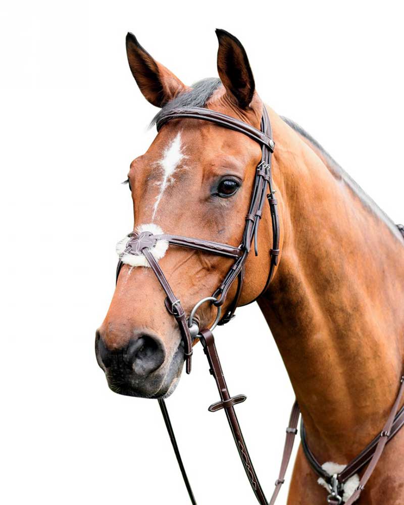 Dark Brown Working Bridle with Mexican Noseband for Horse - E-80 - Prestige