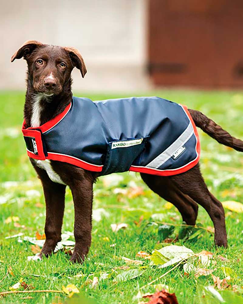 Abrigo para perros azul marino impermeable y reflectante - RAMBO