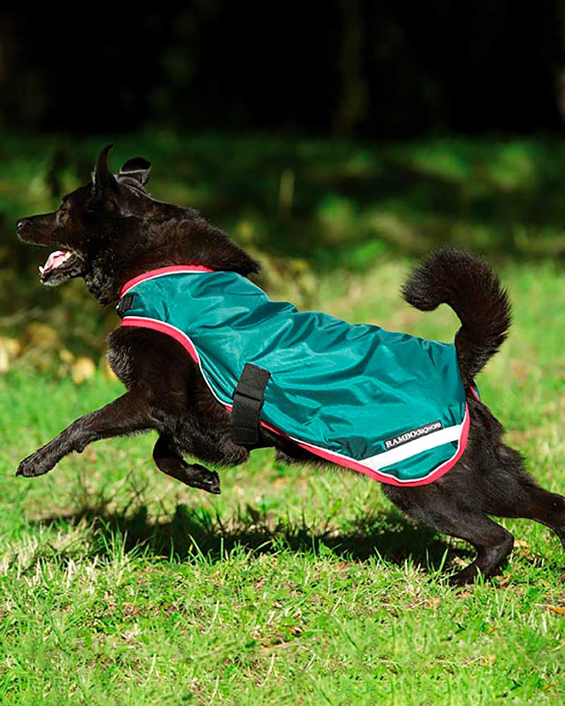 Green Waterproof and Reflective Dog Coat – RAMBO