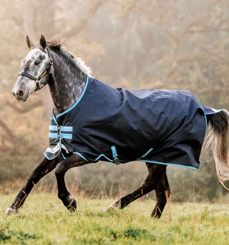 Navy blue turnout blanket with turquoise details (100g) – Bravo 12 Original – AMIGO
