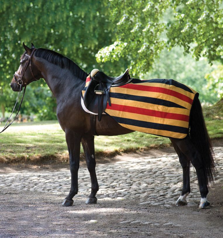 Yellow fleece quarter sheet for horse and pony with red and black stripes – RAMBO