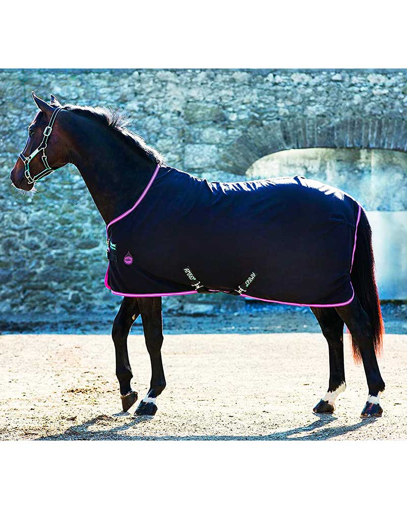 Black and purple stable rug (0g) for ponies – AMIGO