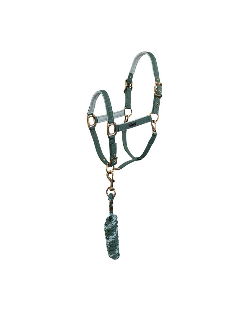 Stable bridle with black and lilac branch for horses - ANKY (copia)