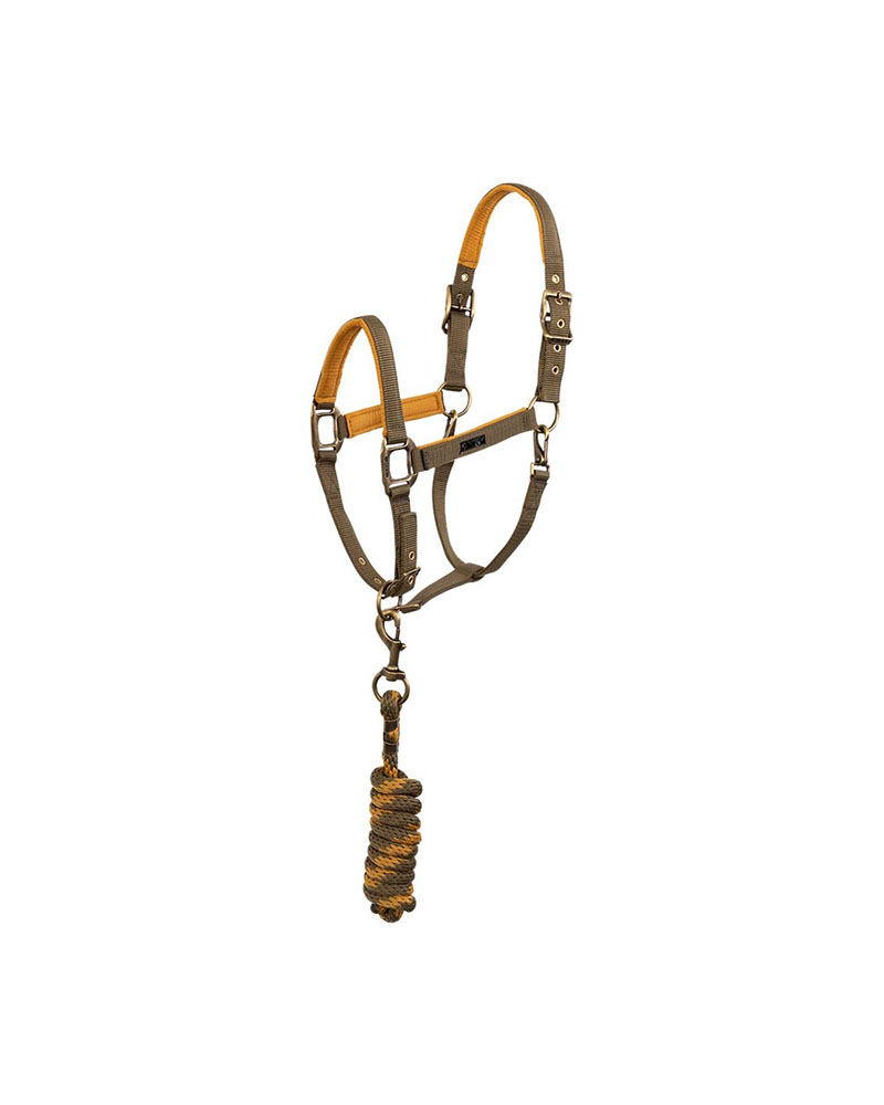 Stable bridle with black and lilac branch for horses - ANKY (copia) (copia)