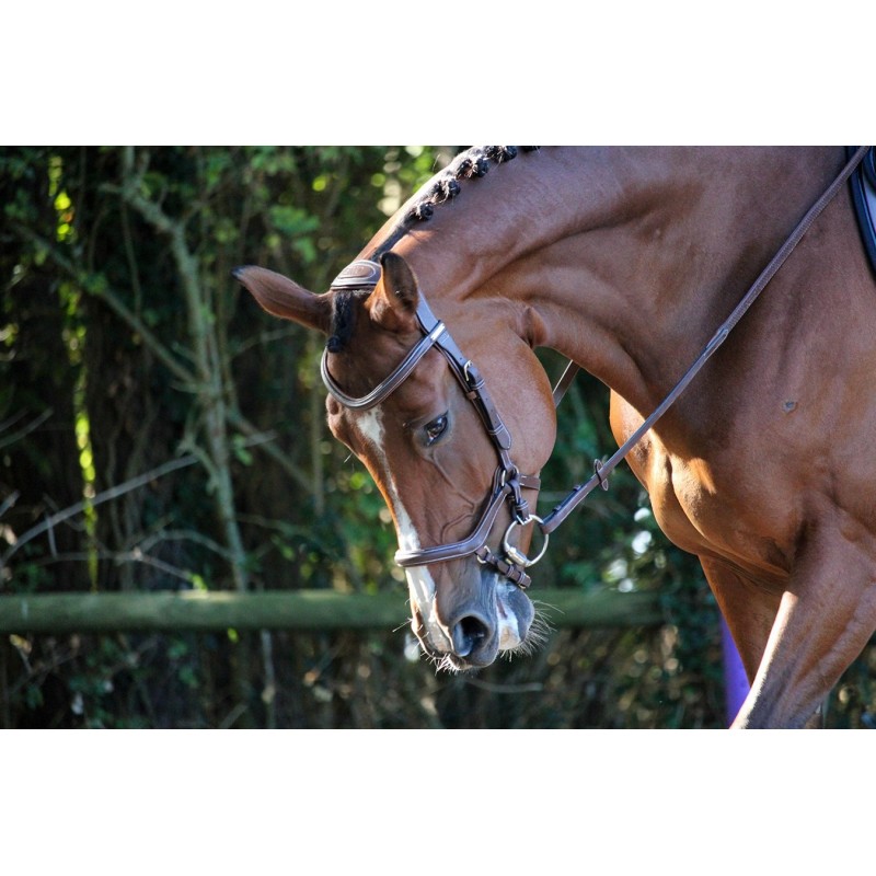 Cabezada de cuero marrón con rienda de goma para caballo - Nueva York - Jumpin