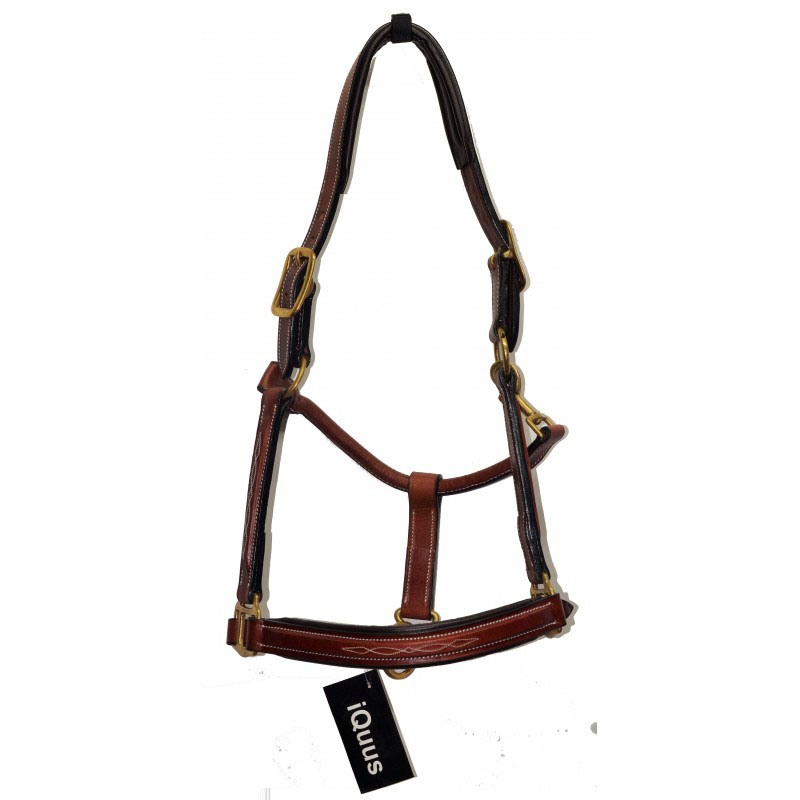Cabezada de cuadra de cuero engrasado para caballo - Iquus