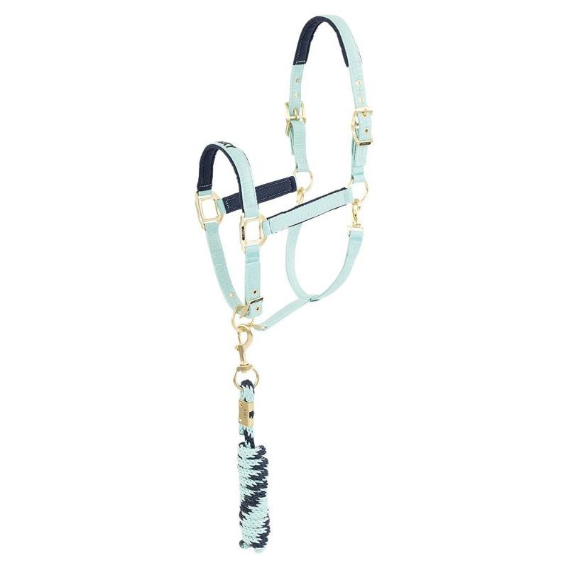 Stable halter with turquoise green and navy blue lead for horse and pony – ANKY –