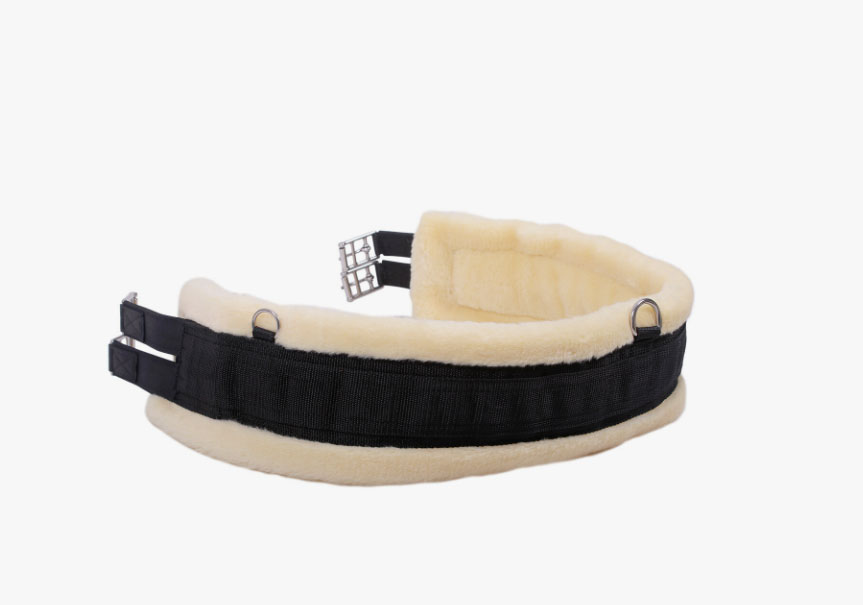 Sangle noire de salto ou polivalente avec mouton pour cheval et poney Ontario - QHP