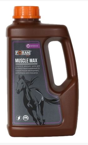 Liquid supplement for muscle development for horses - Muscle Max 1L- FORAN