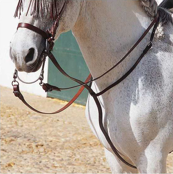 Black leather martingale/gamarra for horses - Marjoman