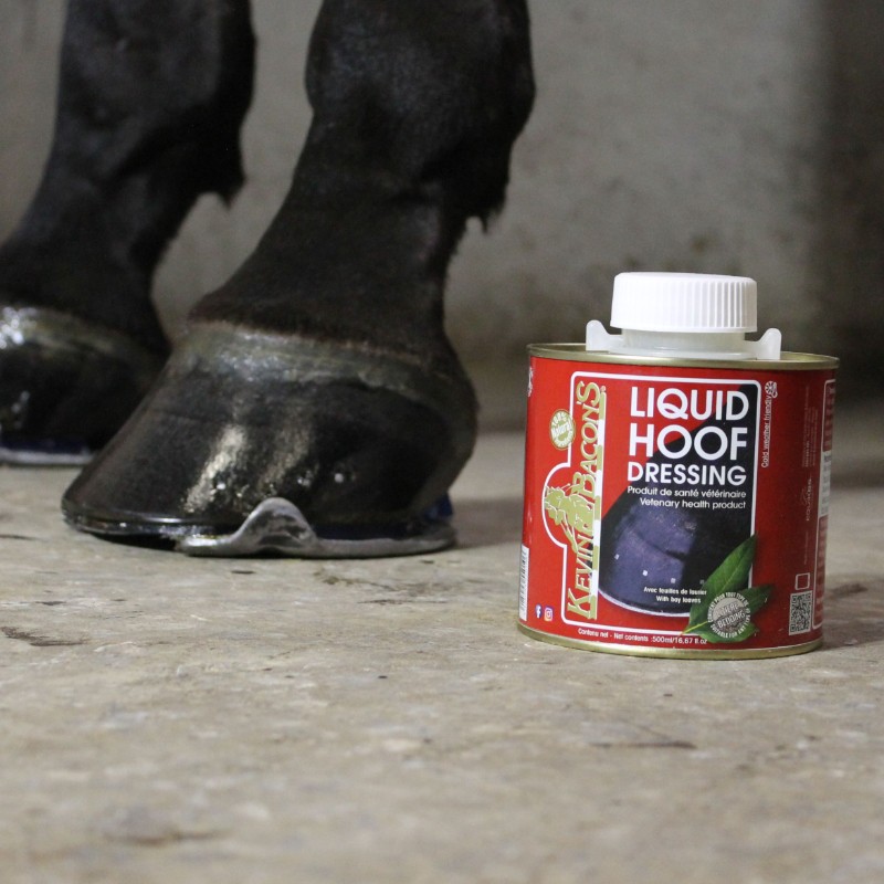 Huile pour sabots de laurel pour el soin de los sabots du cheval - Kevin Bacon's
